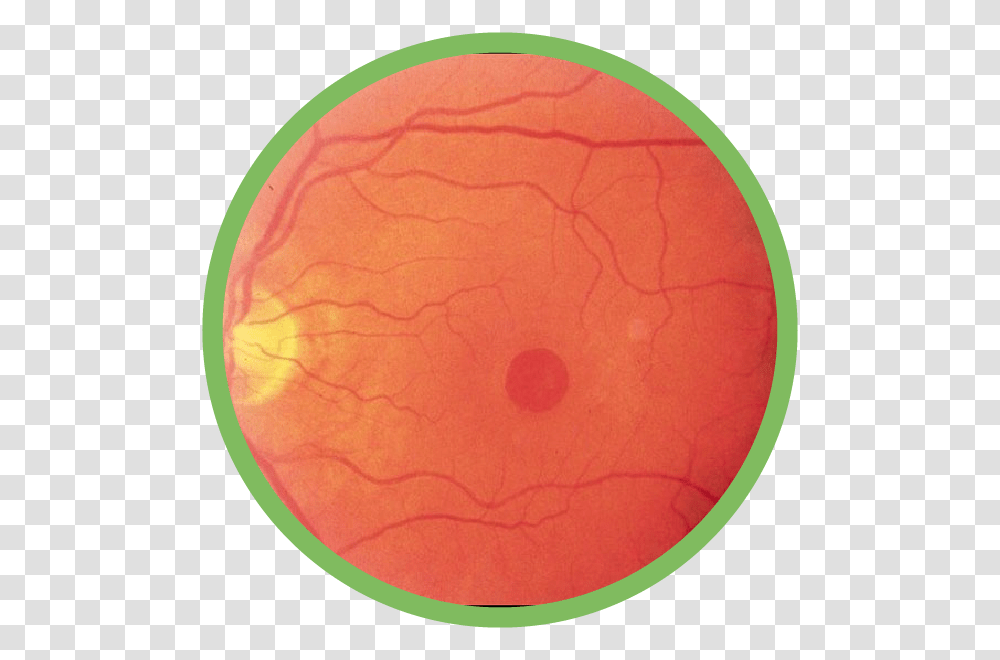 Macular Hole, Rug, Stain, Pattern, Astronomy Transparent Png