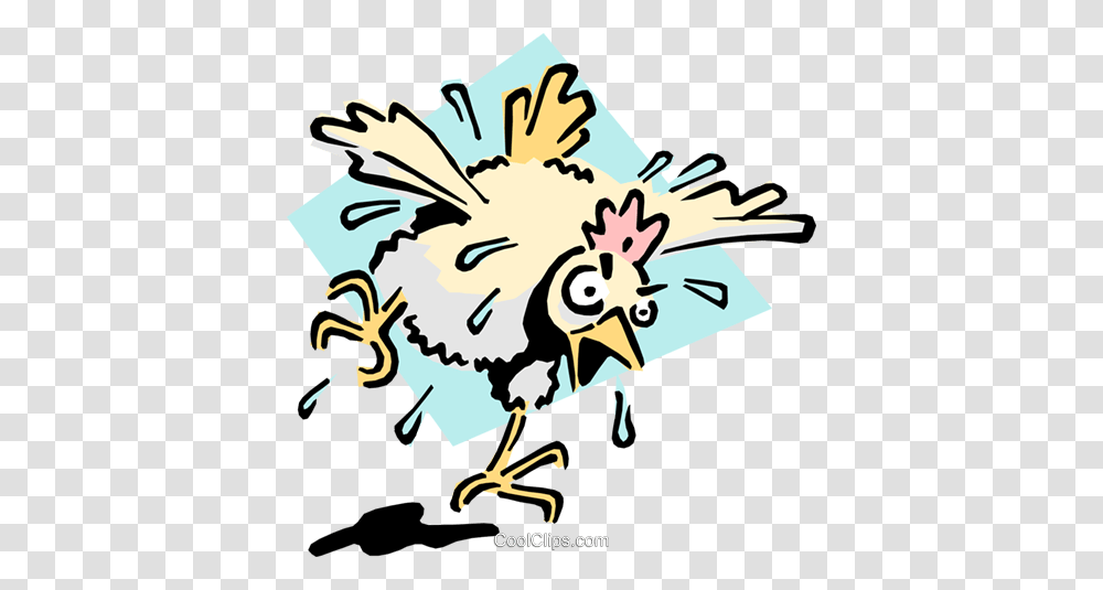 Mad As A Wet Hen Royalty Free Vector Clip Art Illustration, Bird, Animal, Fowl, Poultry Transparent Png