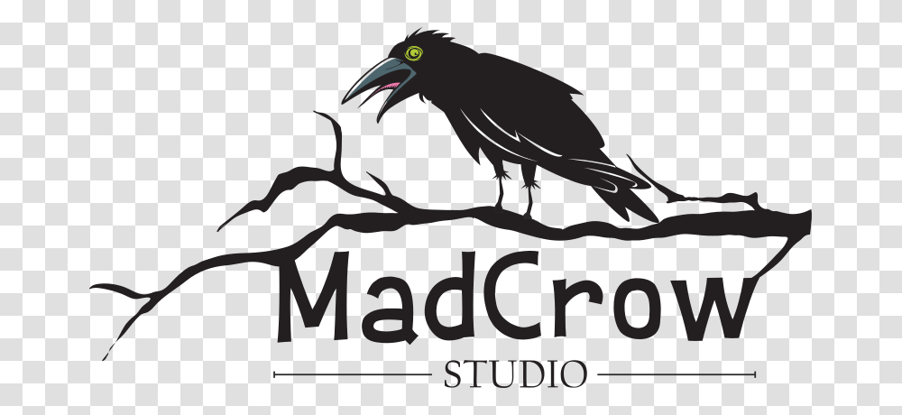 Mad Crow, Bird, Animal, Blackbird, Agelaius Transparent Png