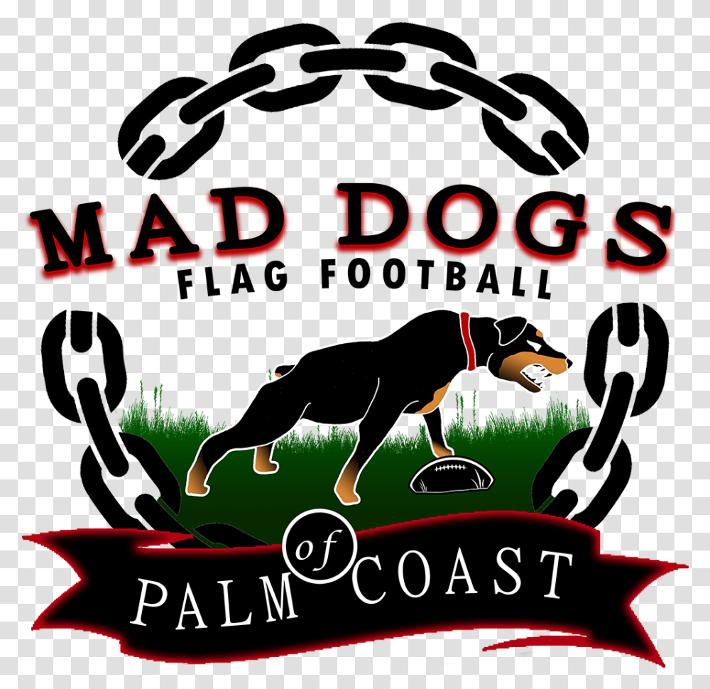 Mad Dogs Flag Football Dog Catches Something, Advertisement, Poster, Flyer, Paper Transparent Png