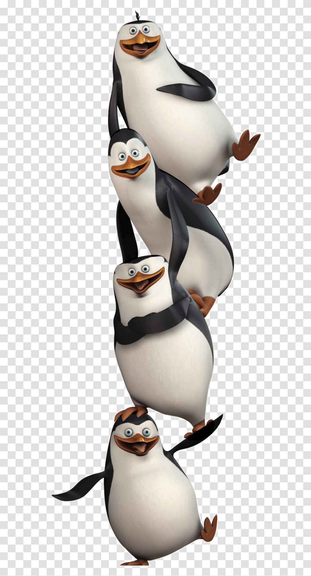 Madagascar Clipart Penguin Madagascar Wallpaper Android, Bird, Animal, Snowman, Outdoors Transparent Png