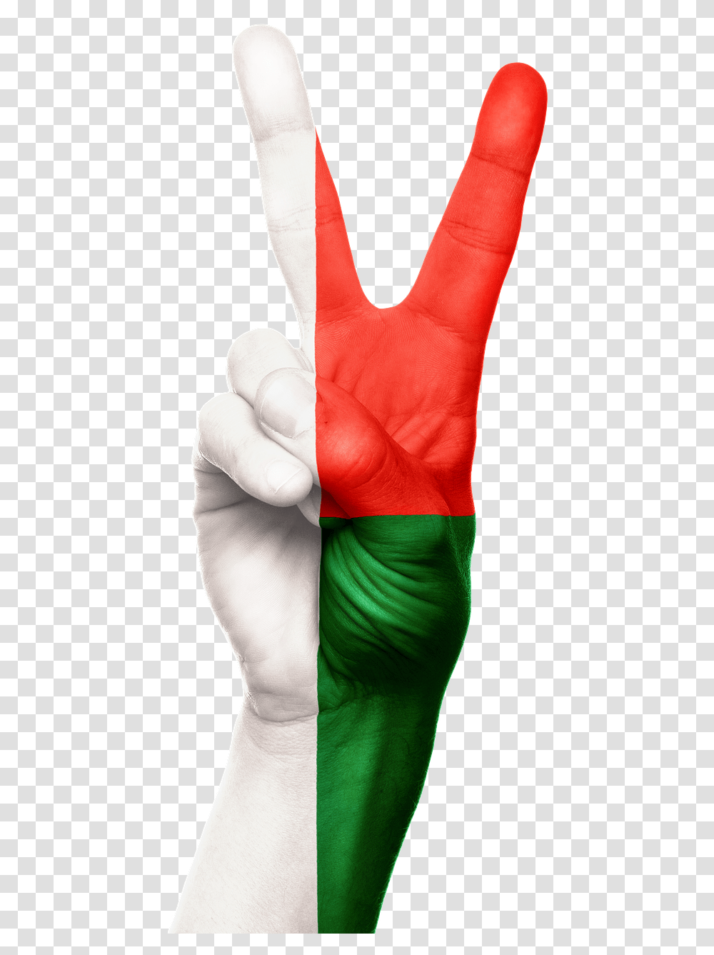 Madagascar Hand Flag Free Photo Latex, Finger, Person, Human, Wrist Transparent Png
