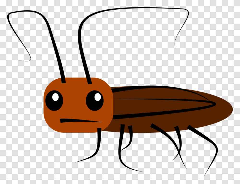 Madagascar Hissing Cockroach Drawing Cartoon Oriental Cockroach, Vehicle, Transportation, Airplane, Aircraft Transparent Png