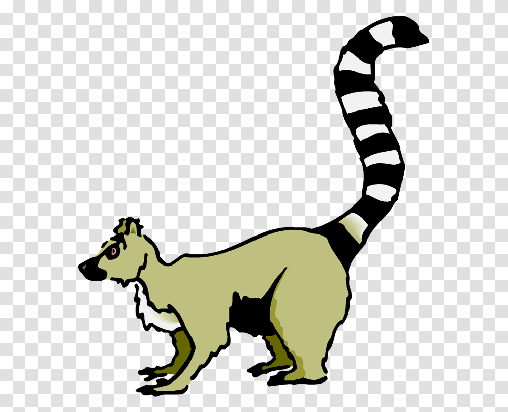 Madagascar Lemur Clipart, Animal, Mammal, Stencil, Kangaroo Transparent Png