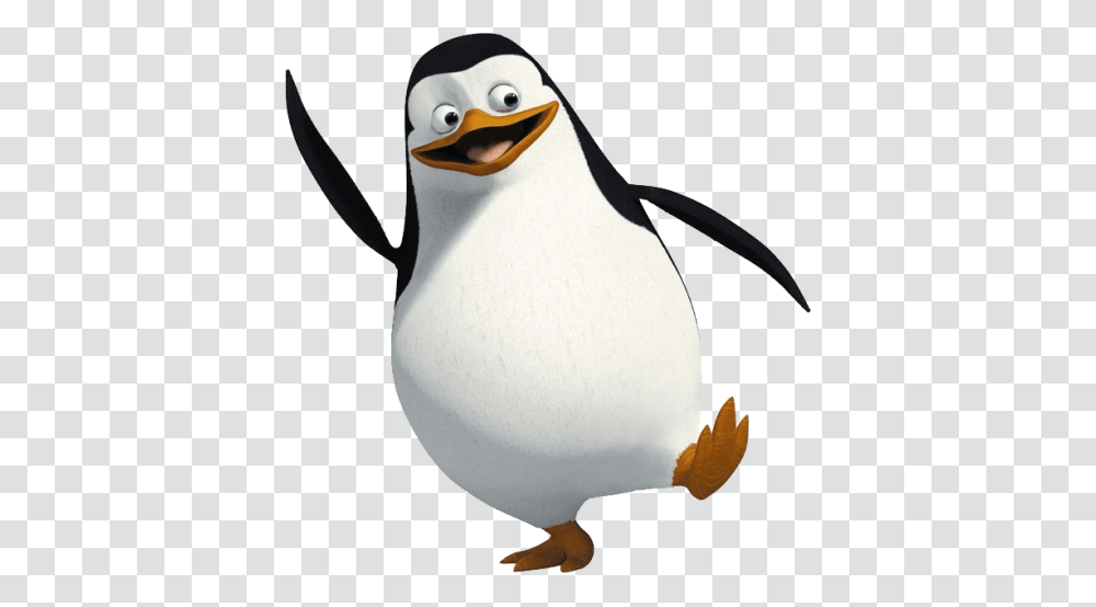 Madagascar Penguin, Bird, Animal, King Penguin Transparent Png