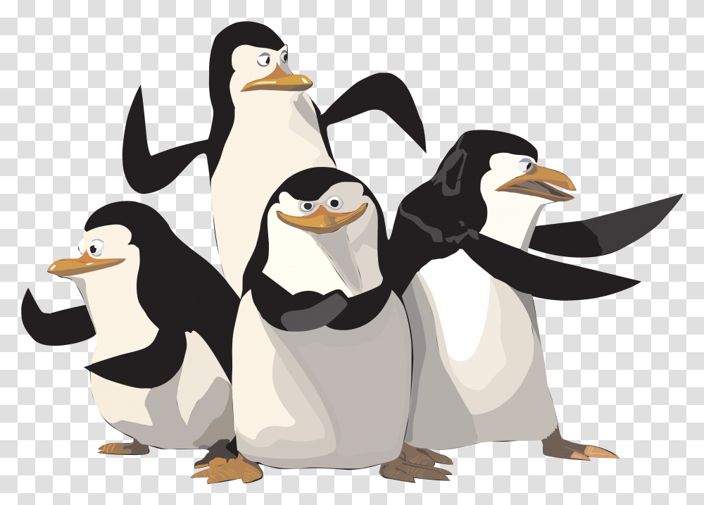 Madagascar Penguin Image Penguins Of Madagascar, Animal, Bird, Puffin Transparent Png