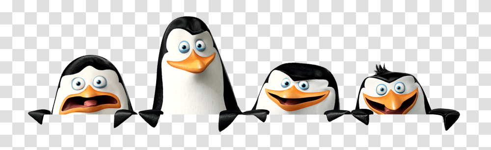 Madagascar Penguins, Character, Angry Birds, Animal Transparent Png
