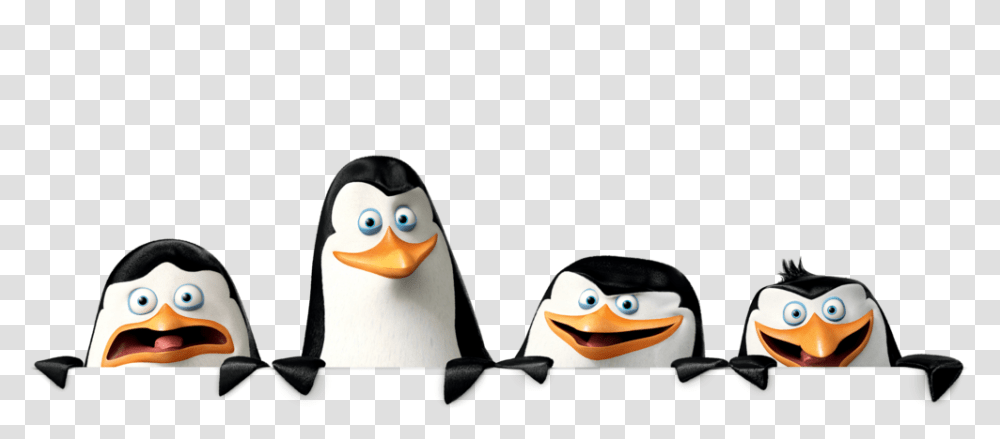 Madagascar Penguins, Character, Angry Birds, Animal Transparent Png
