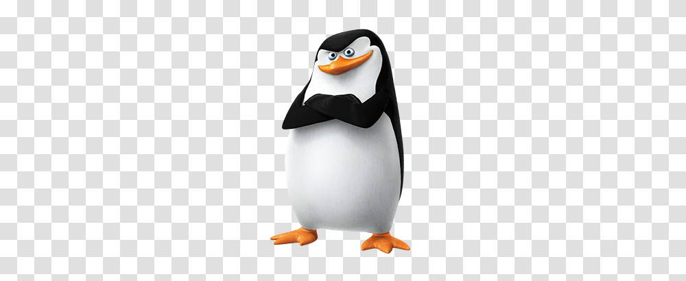 Madagascar Penguins, Character, Angry Birds, Snowman, Outdoors Transparent Png