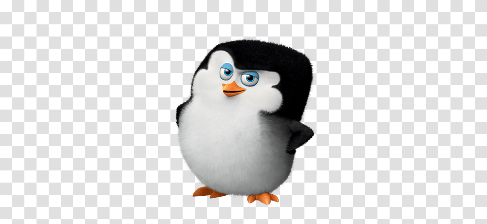 Madagascar Penguins, Character, Beak, Bird, Animal Transparent Png