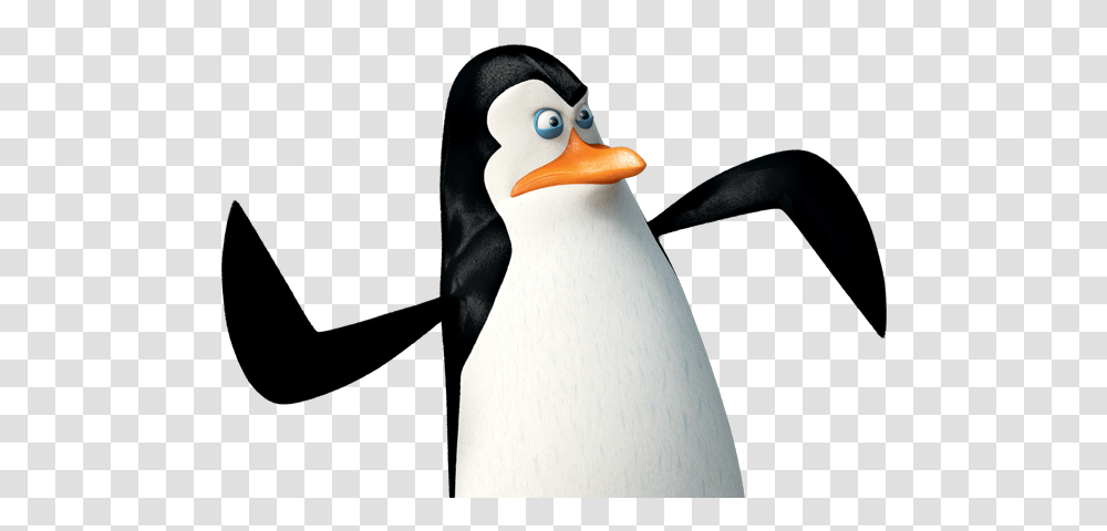 Madagascar Penguins, Character, Bird, Animal, Beak Transparent Png