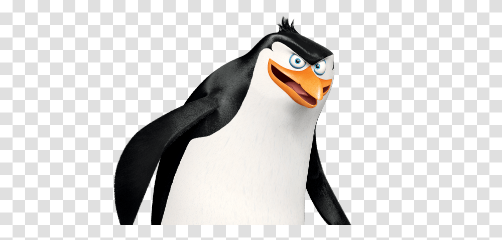 Madagascar Penguins, Character, Bird, Animal, Beak Transparent Png