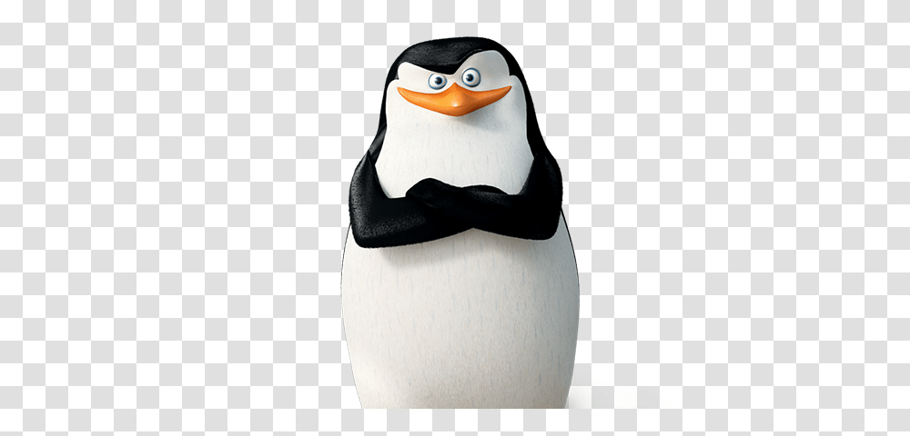 Madagascar Penguins, Character, Bird, Animal, Beak Transparent Png