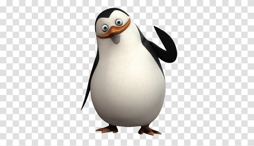 Madagascar Penguins, Character, Bird, Animal, King Penguin Transparent Png