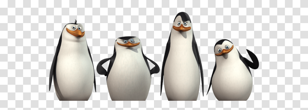 Madagascar Penguins, Character, Bird, Animal, King Penguin Transparent Png