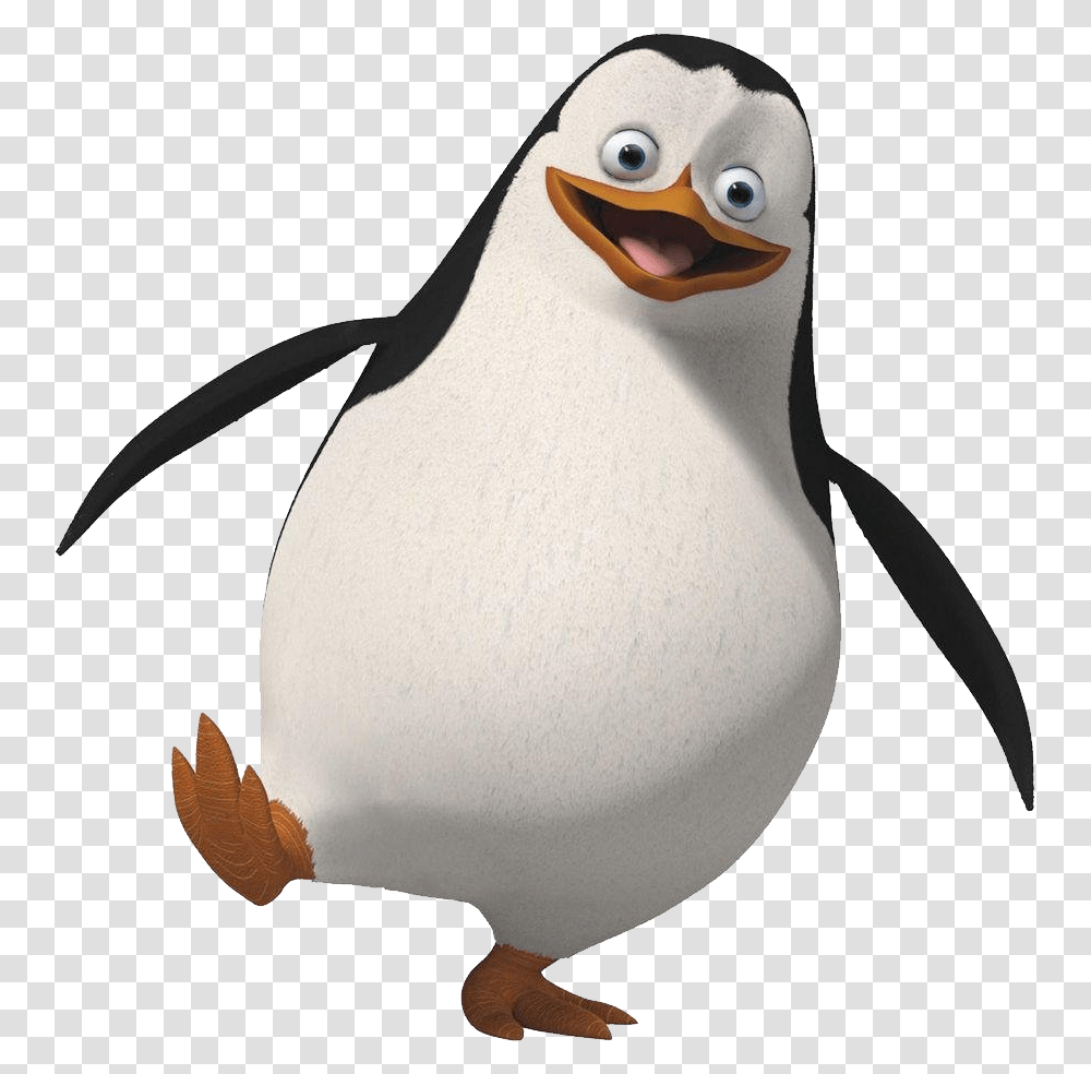 Madagascar Penguins, Character, Bird, Animal, King Penguin Transparent Png