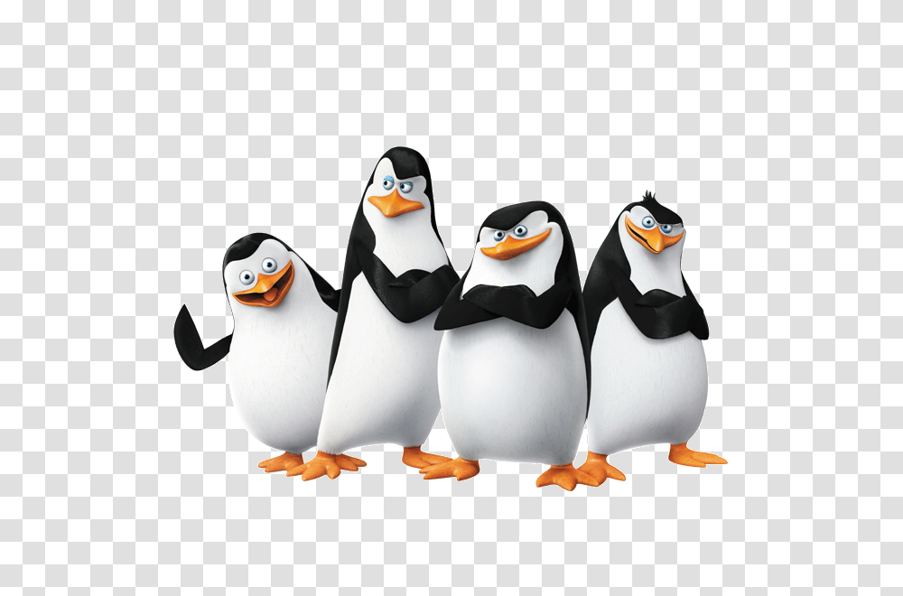 Madagascar Penguins, Character, Bird, Animal, King Penguin Transparent Png