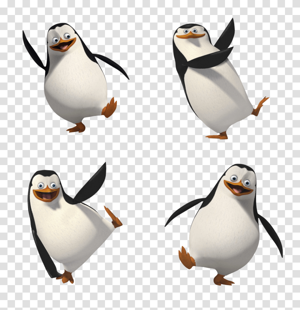 Madagascar Penguins, Character, Bird, Animal, King Penguin Transparent Png