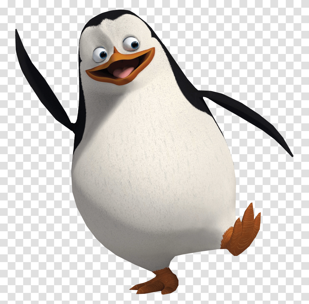 Madagascar Penguins, Character, Bird, Animal, King Penguin Transparent Png