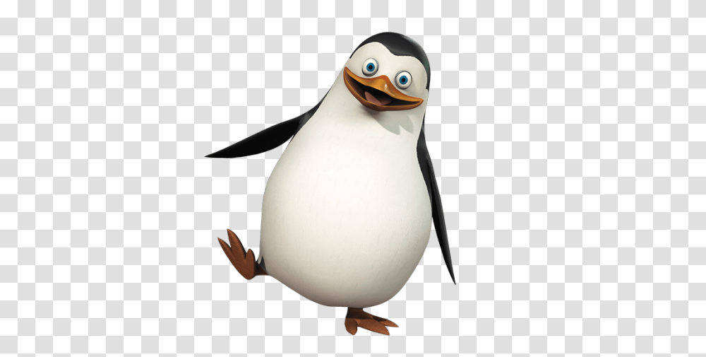 Madagascar Penguins, Character, Bird, Animal, King Penguin Transparent Png