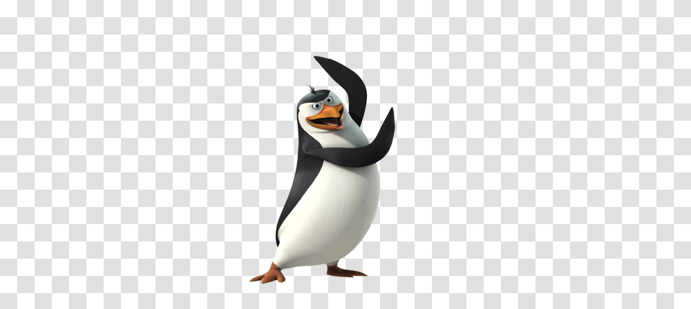 Madagascar Penguins, Character, Bird, Animal, King Penguin Transparent Png