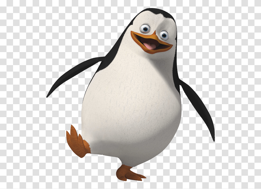 Madagascar Penguins, Character, Bird, Animal, King Penguin Transparent Png