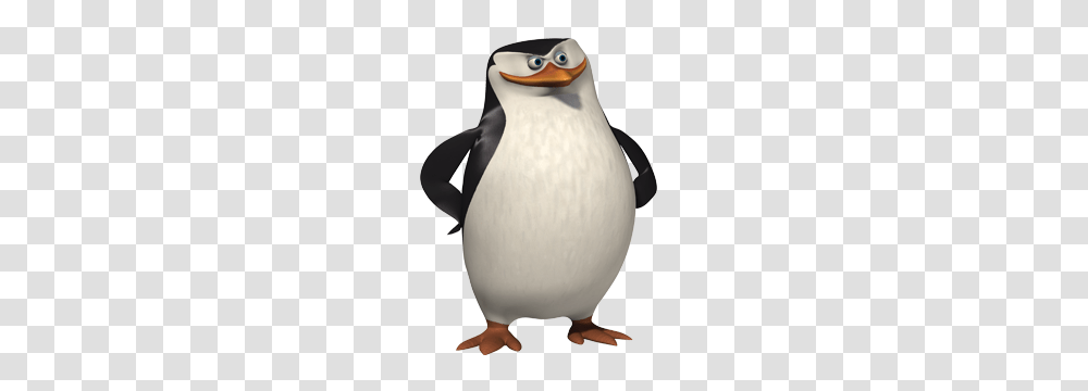 Madagascar Penguins, Character, Bird, Animal, King Penguin Transparent Png