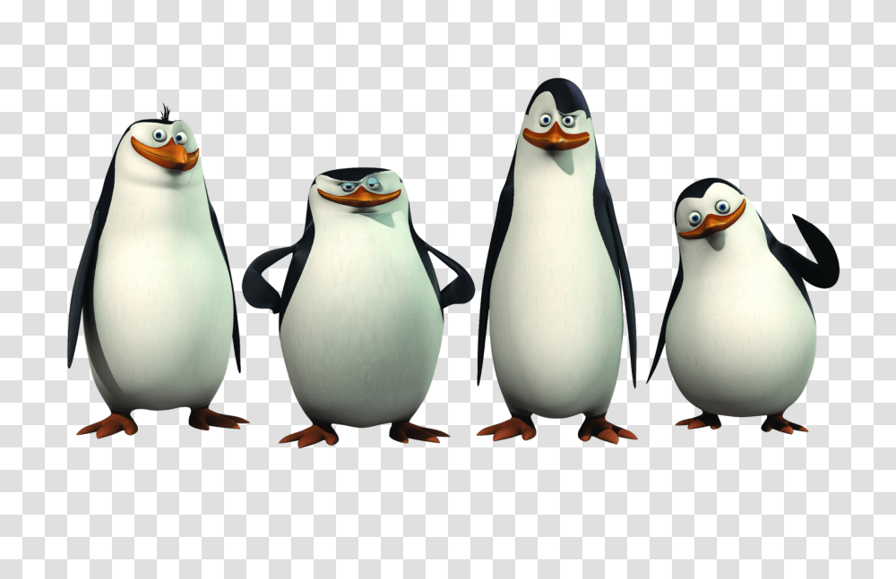 Madagascar Penguins, Character, Bird, Animal, King Penguin Transparent Png