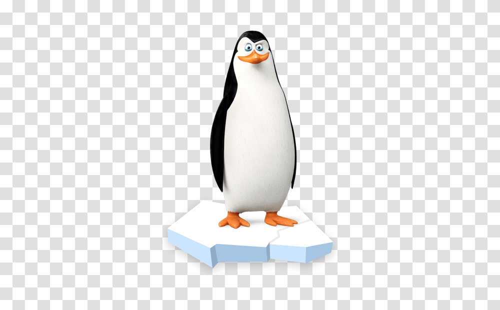 Madagascar Penguins, Character, Bird, Animal, King Penguin Transparent Png