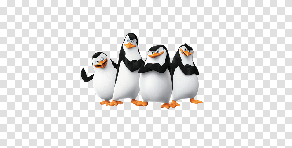 Madagascar Penguins, Character, Bird, Animal, King Penguin Transparent Png