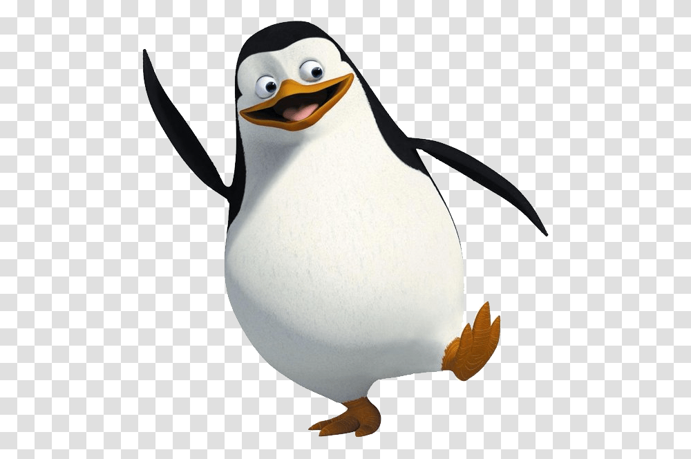 Madagascar Penguins, Character, Bird, Animal, King Penguin Transparent Png