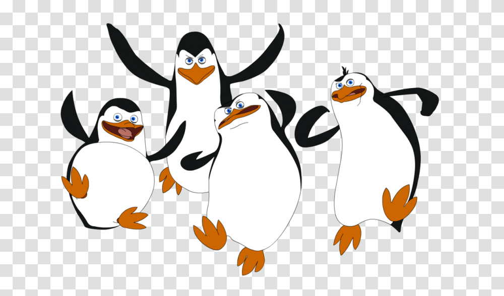 Madagascar Penguins, Character, Bird, Animal, King Penguin Transparent Png