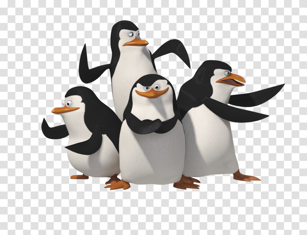 Madagascar Penguins, Character, Bird, Animal, King Penguin Transparent Png