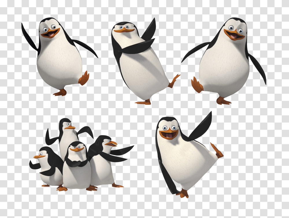 Madagascar Penguins, Character, Bird, Animal, King Penguin Transparent Png