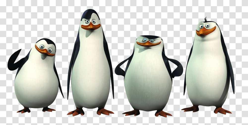 Madagascar Penguins, Character, Bird, Animal, King Penguin Transparent Png