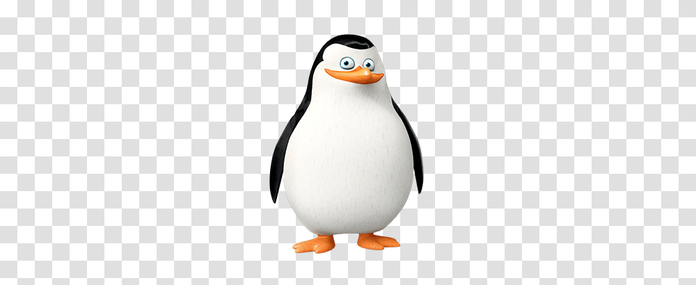 Madagascar Penguins, Character, Bird, Animal, King Penguin Transparent Png