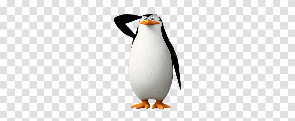 Madagascar Penguins, Character, Bird, Animal, King Penguin Transparent Png