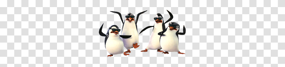 Madagascar Penguins, Character, Bird, Animal, Person Transparent Png