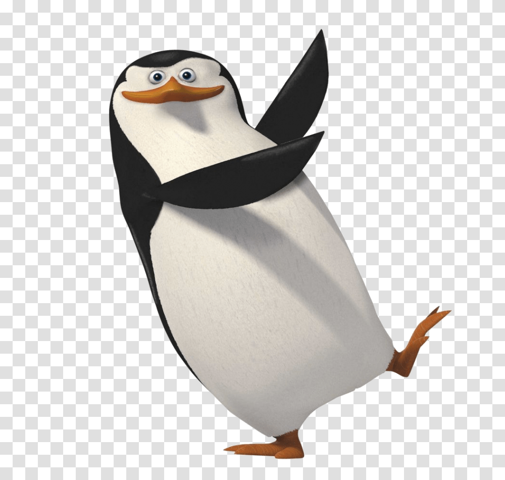 Madagascar Penguins, Character, Bird, Animal, Puffin Transparent Png