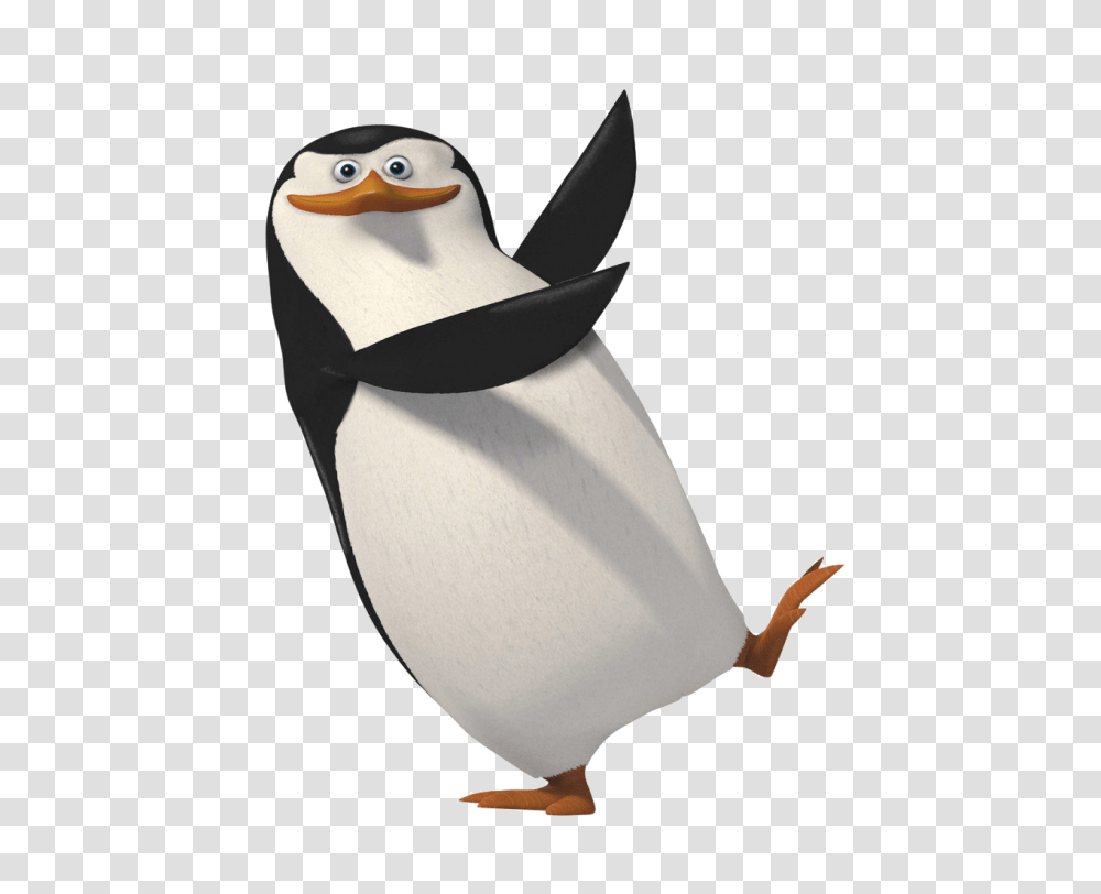 Madagascar Penguins, Character, Bird, Animal, Puffin Transparent Png