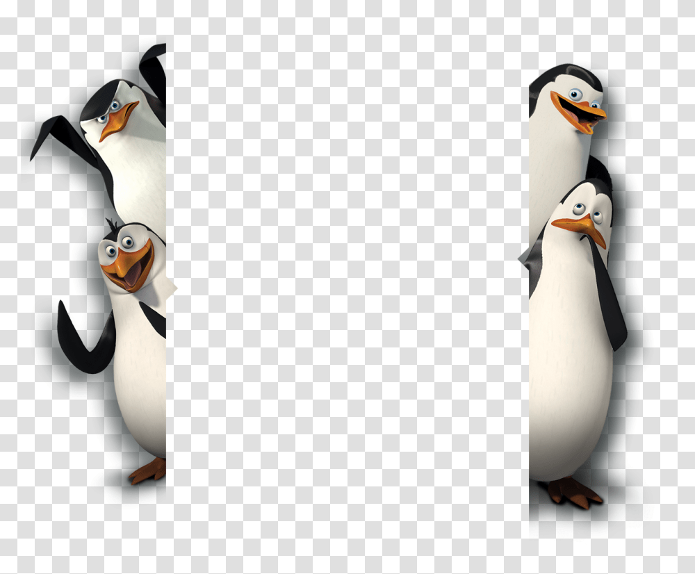 Madagascar Penguins, Character, Bird, Animal, Puffin Transparent Png