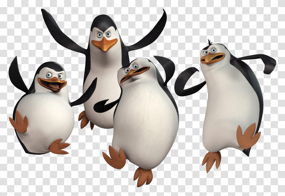 Madagascar Penguins, Character, Bird, Animal, Snowman Transparent Png
