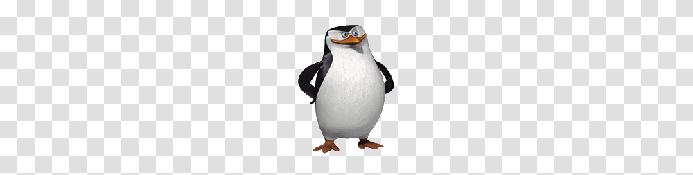 Madagascar Penguins, Character, Bird, Animal, Snowman Transparent Png