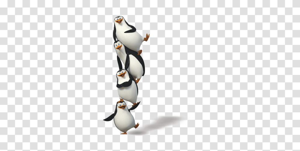 Madagascar Penguins, Character, Figurine, Animal, Bird Transparent Png