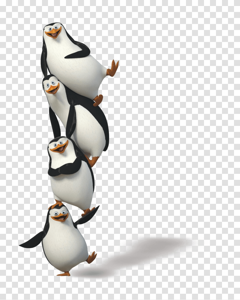 Madagascar Penguins, Character, Figurine, Bird, Animal Transparent Png
