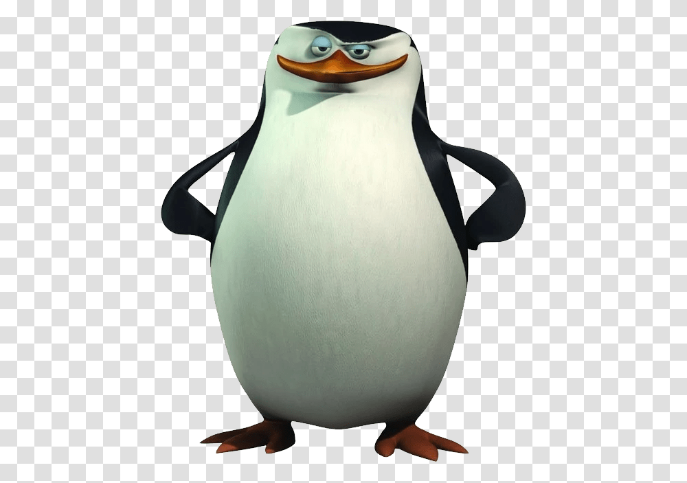 Madagascar Penguins, Character, King Penguin, Bird, Animal Transparent Png