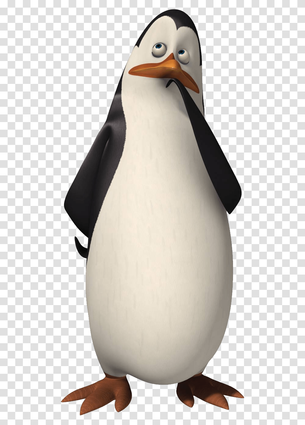 Madagascar Penguins, Character, King Penguin, Bird, Animal Transparent Png