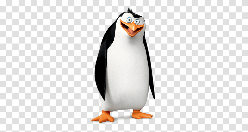 Madagascar Penguins, Character, King Penguin, Bird, Animal Transparent Png