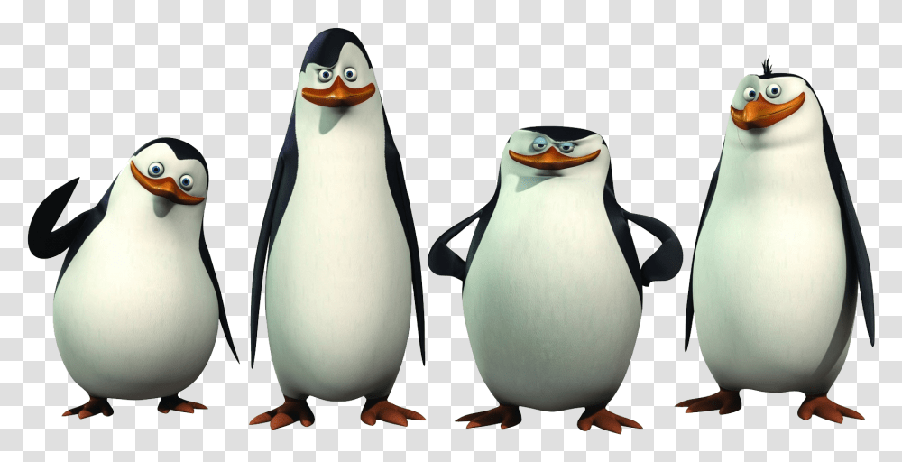 Madagascar Penguins Icon Penguins Of Madagascar Cartoon, Bird, Animal, King Penguin Transparent Png