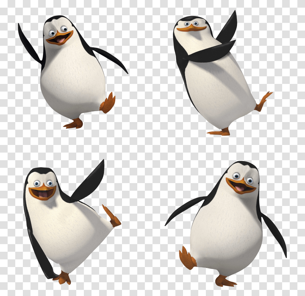 Madagascar Penguins Madagascar Penguin, Bird, Animal, King Penguin, Beak Transparent Png